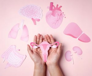 PCOS - sitzt die Fruchtbarkeit im Darm?